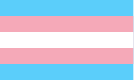 Transgender pride flag